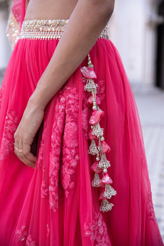 Raspberry pink lehenga set