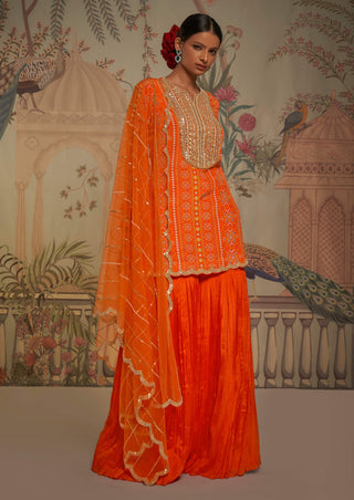 Tangerine patola gharara set