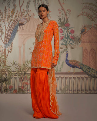 Tangerine patola gharara set