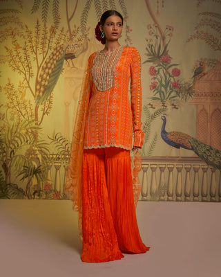 Tangerine patola gharara set