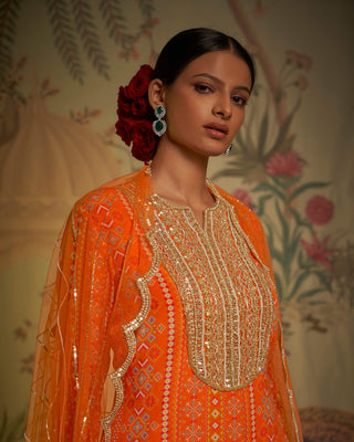 Tangerine patola gharara set