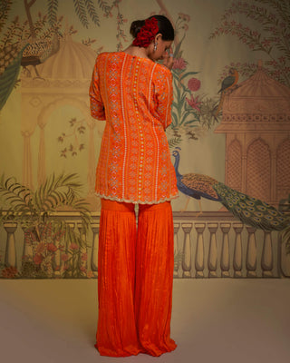 Tangerine patola gharara set