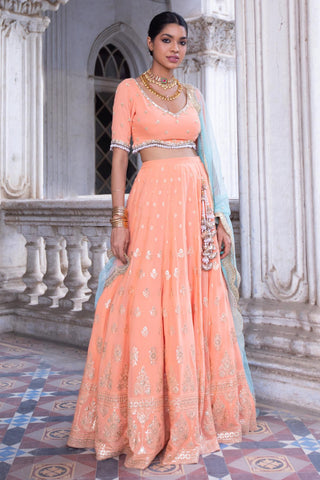 Tangerine gota lehenga set