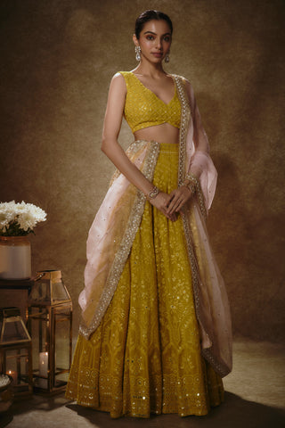 Citrine yellow lehenga set