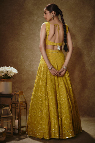 Citrine yellow lehenga set