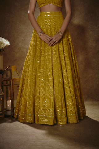 Citrine yellow lehenga set