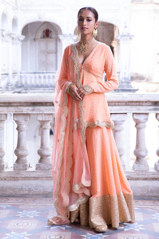 Tangerine benarasi kurta sharara set