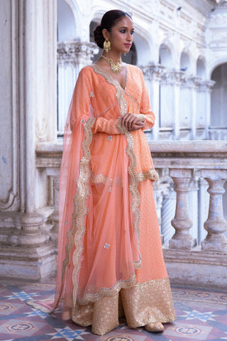 Tangerine benarasi kurta sharara set