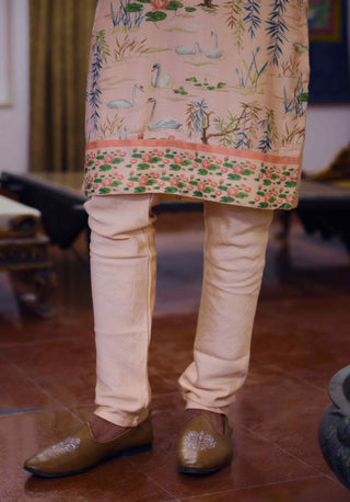 Amer powder pink kurta and churidaar