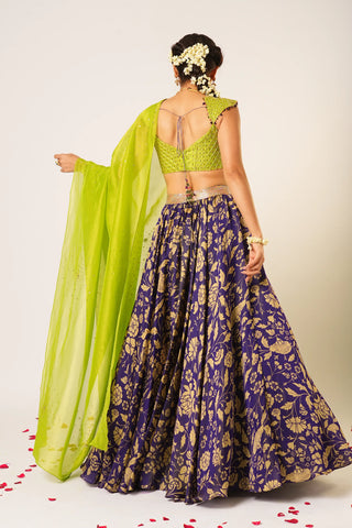 Purple maitreyi lehenga