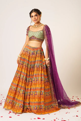 Multicolor shakuntala lehenga