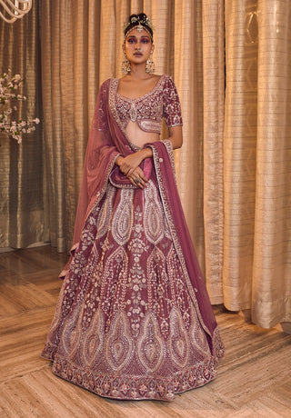 Tulipwood embroidered lehenga set