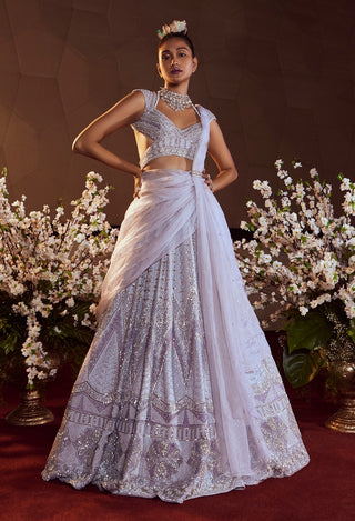 Muted shade embroidered lehenga set