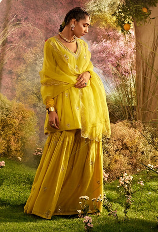 Mustard soft chanderi gharara set