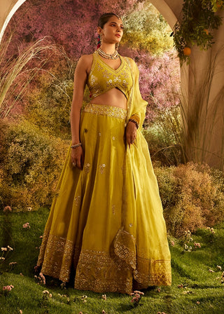 Mustard silk chanderi lehenga set