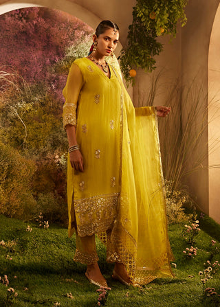 Mustard straight suit set