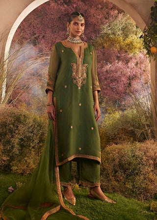 Green pure organza kurta suit set