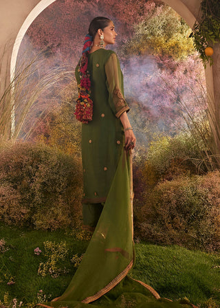 Green pure organza kurta suit set