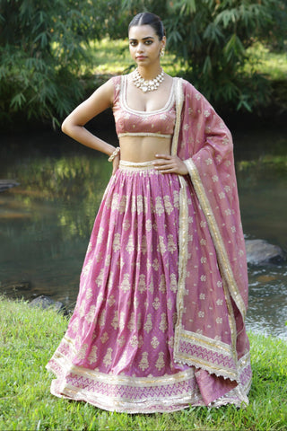 Pink rang lehenga set