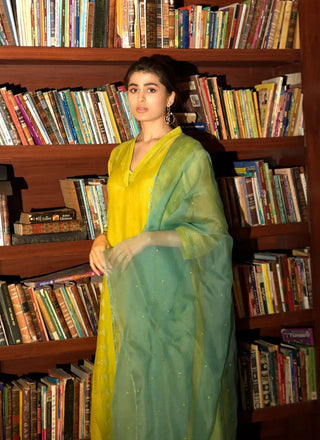 Neon green side panelled A-line kurta set