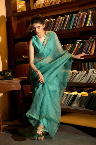 Powder blue saree