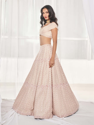 Dusty beige embellished lehenga and blouse