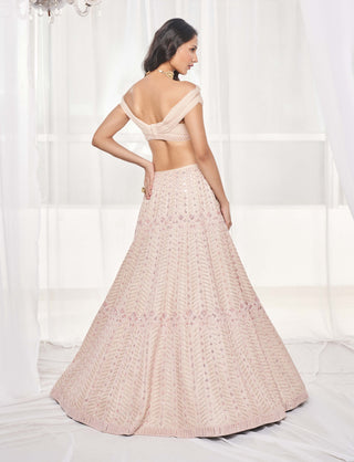 Dusty beige embellished lehenga and blouse