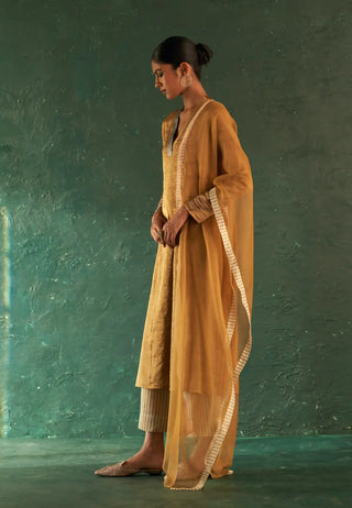 Classic gold tissue straight kurta set