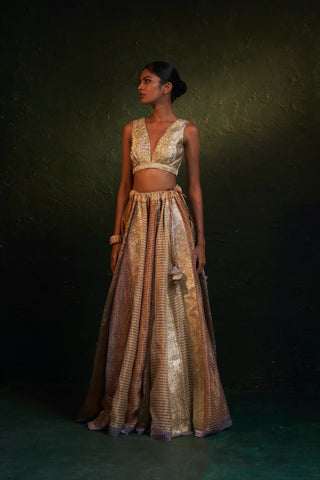 Midas multi-panelled lehenga set