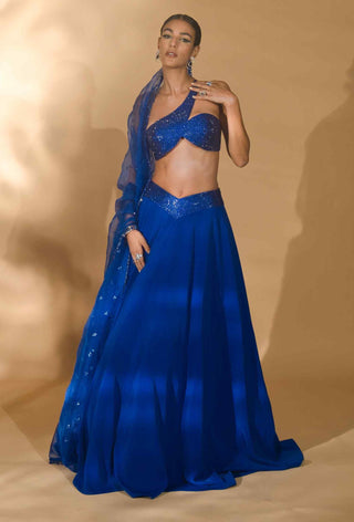 Blue rhinestone encrusted lehenga set