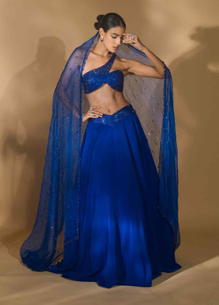 Blue rhinestone encrusted lehenga set