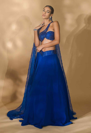 Blue rhinestone encrusted lehenga set