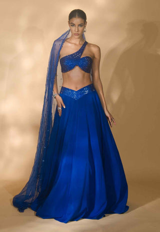 Blue rhinestone encrusted lehenga set