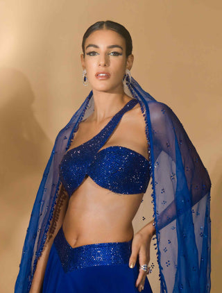 Blue rhinestone encrusted lehenga set