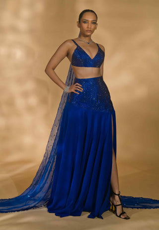 Blue rhinestone embroidered lehenga set