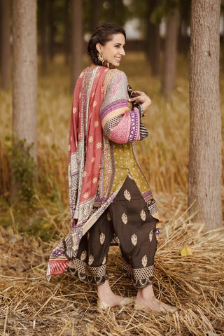 Multicolor kurta with pants