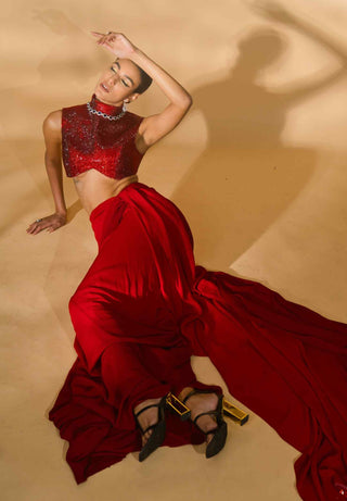 Red rhinestone blouse and saree