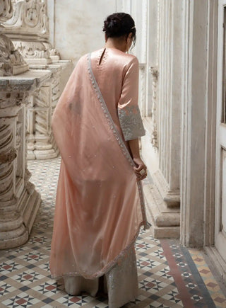 Peach and silver cut work sharara set