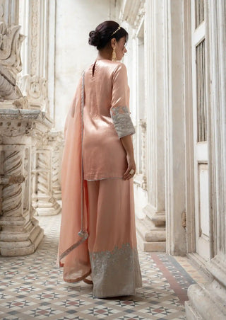 Peach and silver cut work sharara set