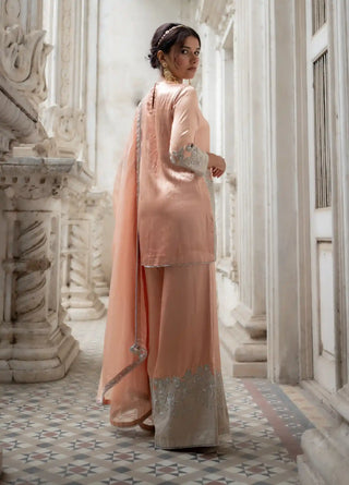 Peach and silver cut work sharara set