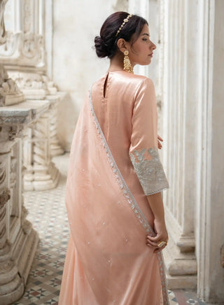 Peach and silver cut work sharara set