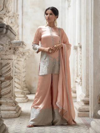 Peach and silver cut work sharara set