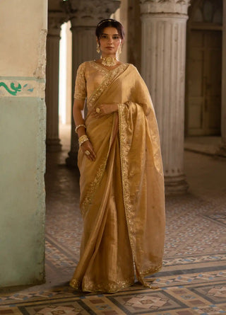 Gold zari blouse and saree