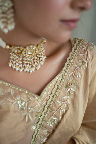 Gold zari blouse and saree