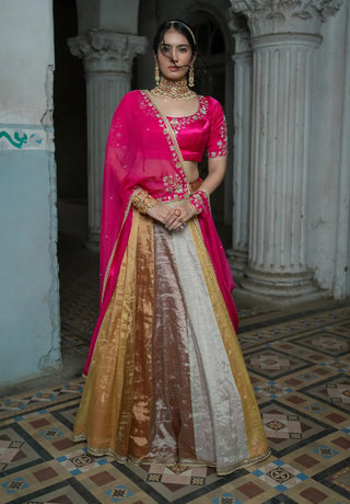 Pink multi-panelled lehenga set