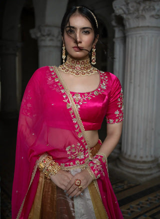 Pink multi-panelled lehenga set