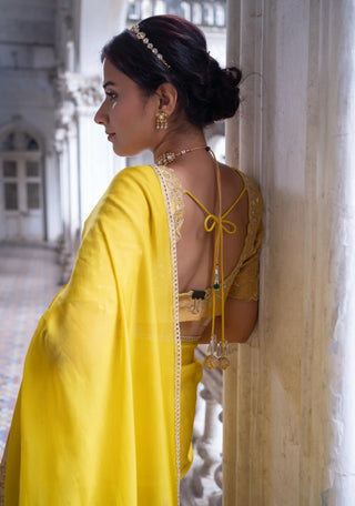 Gold embroidered blouse and acaia green saree