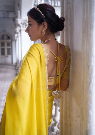 Gold embroidered blouse and acaia green saree