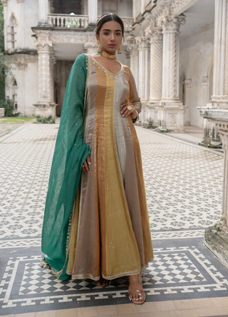 Signature zari tissue anarkali set