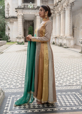 Signature zari tissue anarkali set